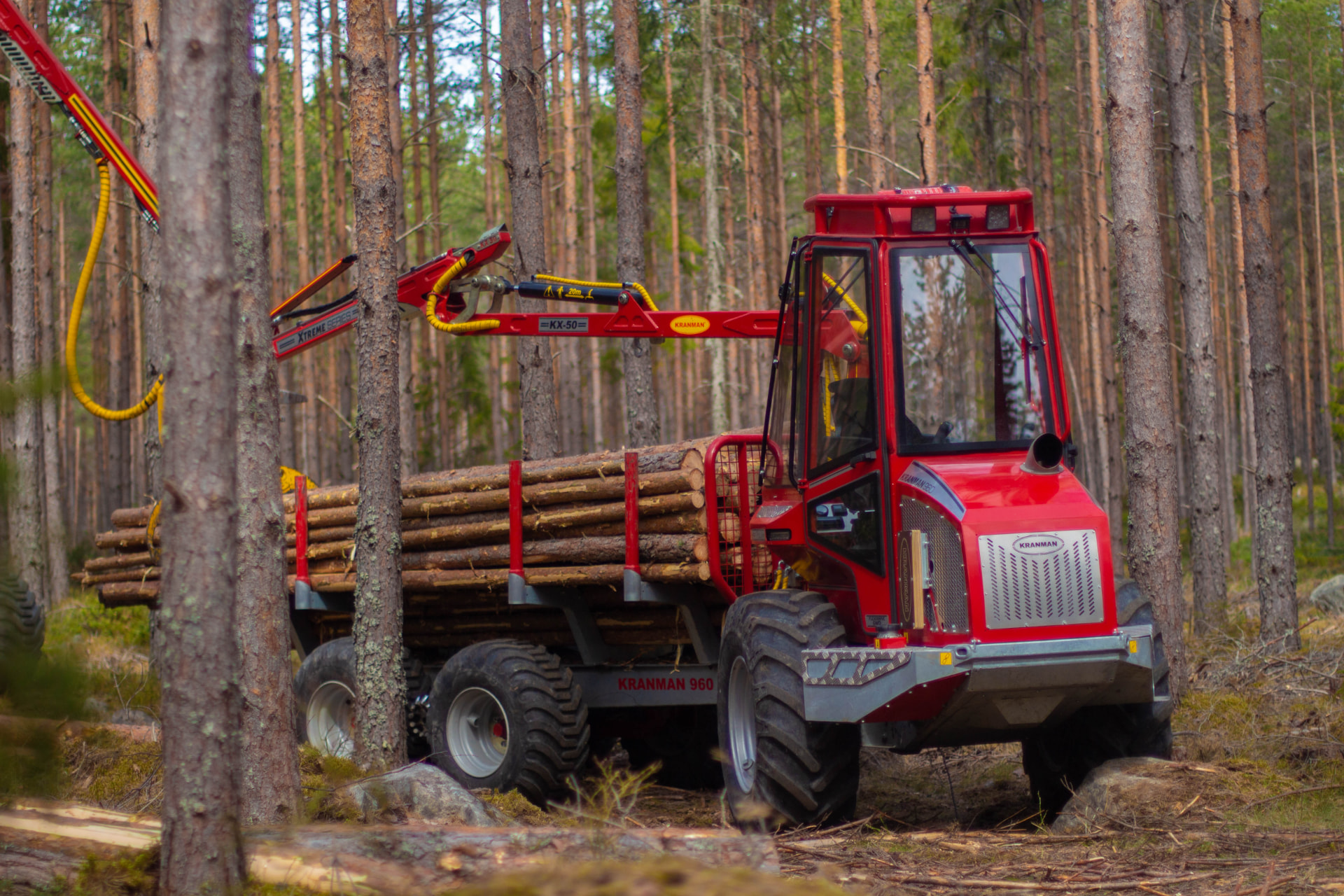 Skog & ved